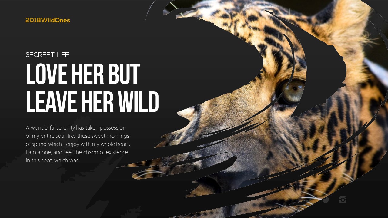 Wildones Nature Wildlife PowerPoint Template By BrandEarth GraphicRiver